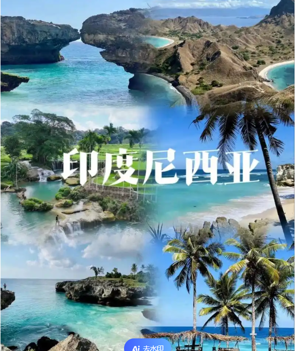 国际电商(印尼)产业博览会冰球突破网站2025中国(图2)