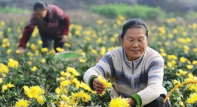 火热”而中国的幸福指数却高居全球之首冰球突破众多发达国家民众正身陷“水深(图11)